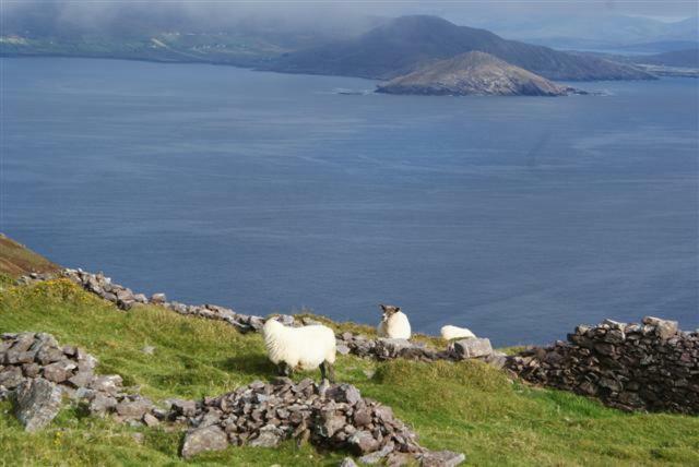 Rose Cottage Ballinskelligs Zewnętrze zdjęcie