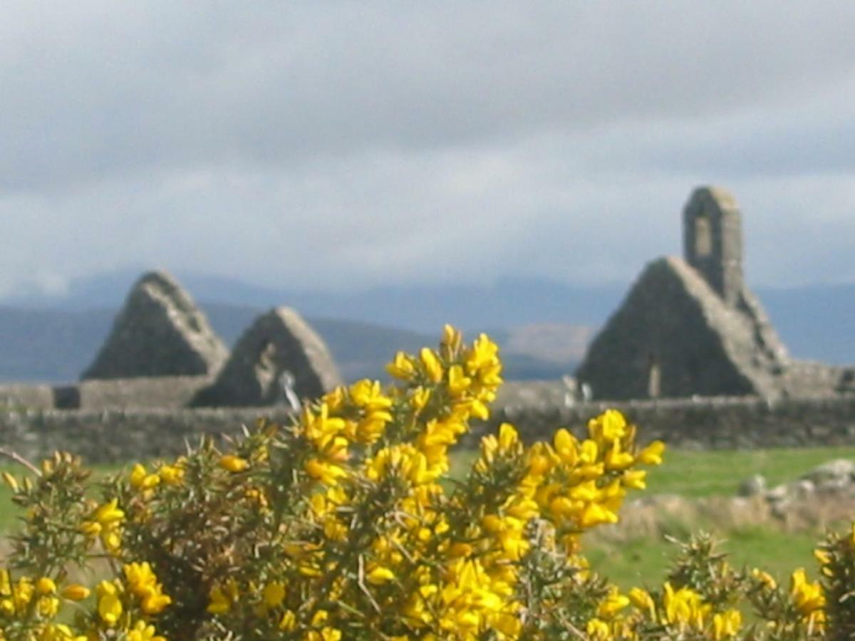 Rose Cottage Ballinskelligs Zewnętrze zdjęcie